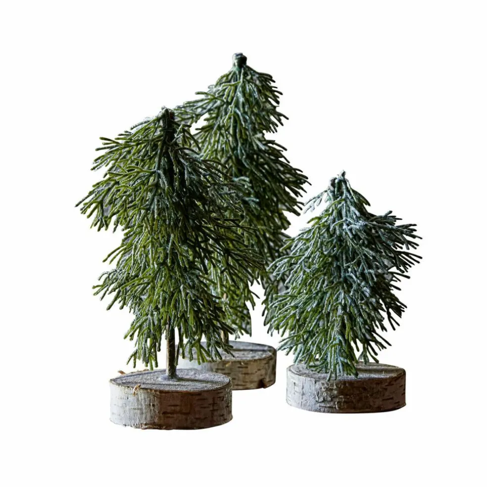 Baum 3er Set Lonzac