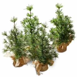 Deko-Baum 4er Set Millies