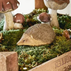 Deko-Igel Cotoca