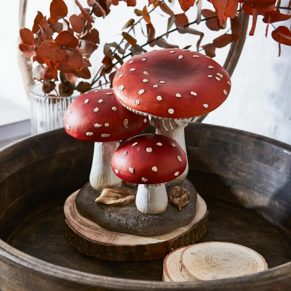 Deko-Pilz Lupton