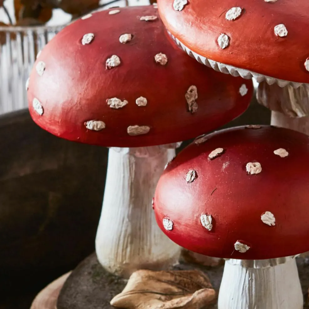 Deko-Pilz Lupton
