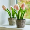 Deko-Tulpe 2er Set Zéphine