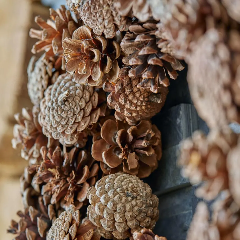 Kranz Mellor