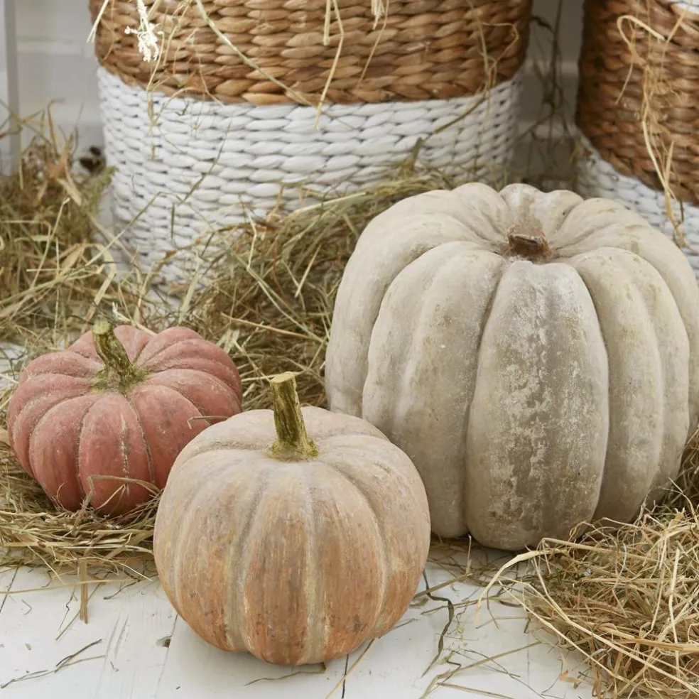 Kürbis 3er Set Pumpkin