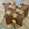 Lichterkette Starwhisper