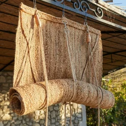 Rollo Georgia