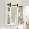 Spiegelschrank Dhunnan