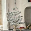 Weihnachtsbaum Falkirk