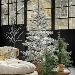 Weihnachtsbaum Sapi